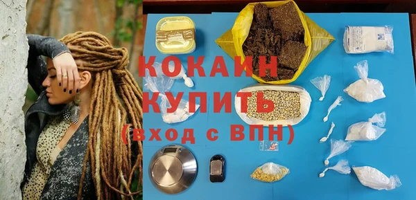 spice Михайлов