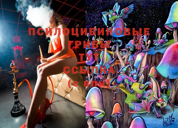 spice Михайлов