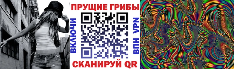сайты даркнета как зайти  Хадыженск  Галлюциногенные грибы Magic Shrooms 